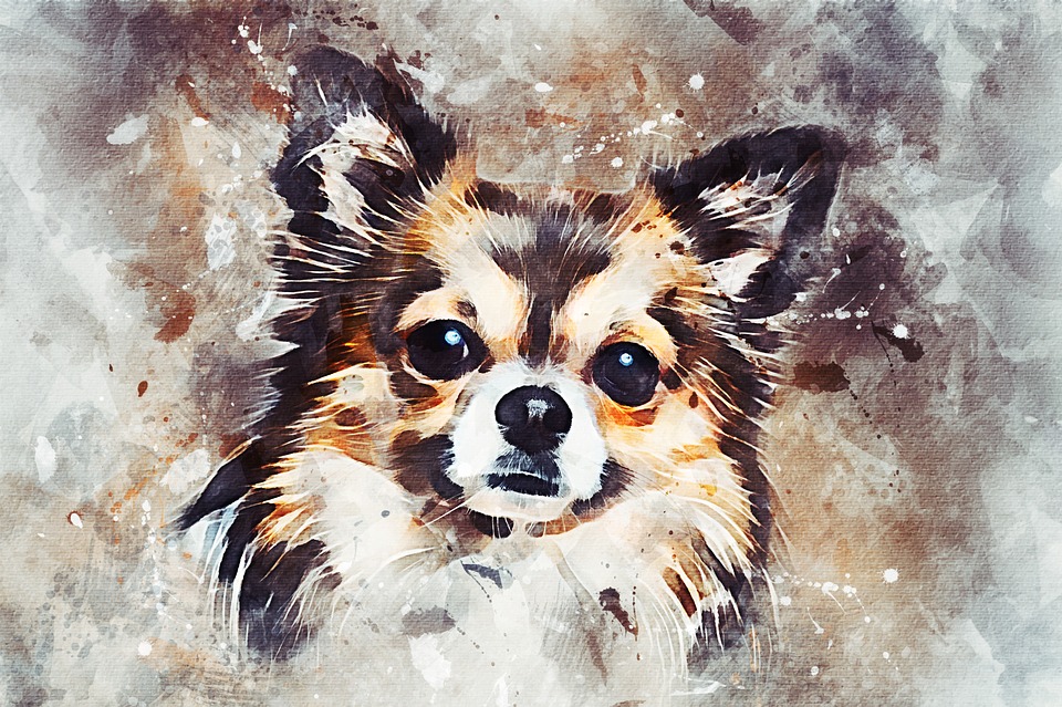 Chihuahua Picture Painting